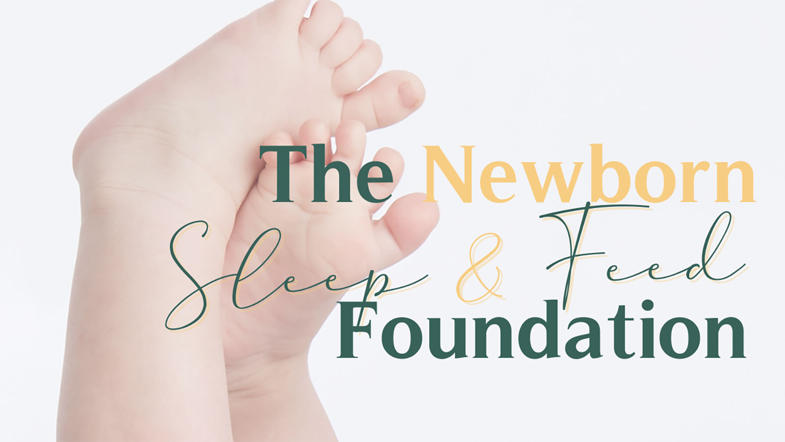 Newborn Course Header